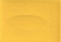 2004 GM Bright Yellow